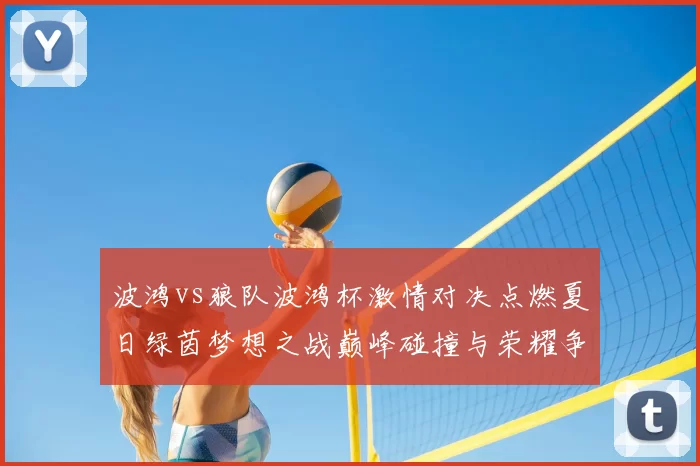 波鸿vs狼队波鸿杯激情对决点燃夏日绿茵梦想之战巅峰碰撞与荣耀争锋
