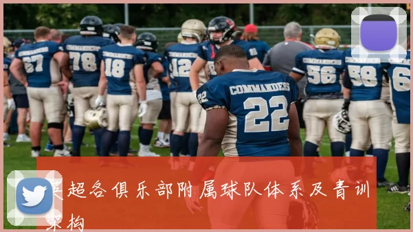 英超各俱乐部附属球队体系及青训架构