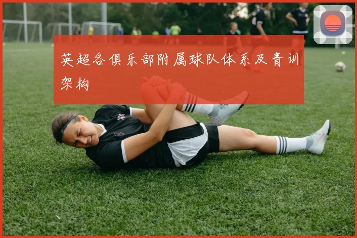 英超各俱乐部附属球队体系及青训架构