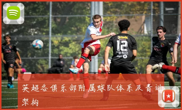 英超各俱乐部附属球队体系及青训架构