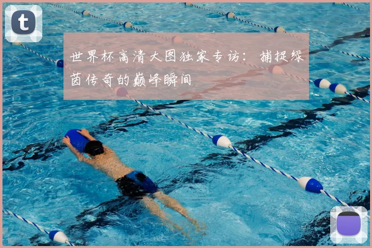 世界杯高清大图独家专访:捕捉绿茵传奇的巅峰瞬间