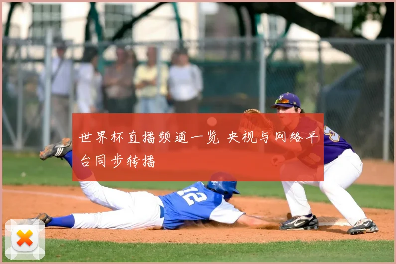 世界杯直播频道一览 央视与网络平台同步转播