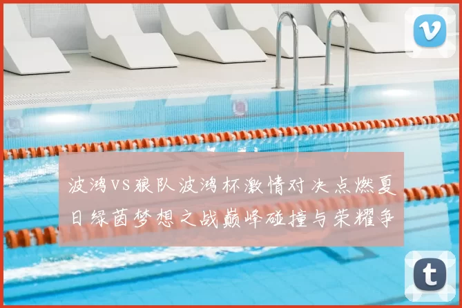 波鸿vs狼队波鸿杯激情对决点燃夏日绿茵梦想之战巅峰碰撞与荣耀争锋