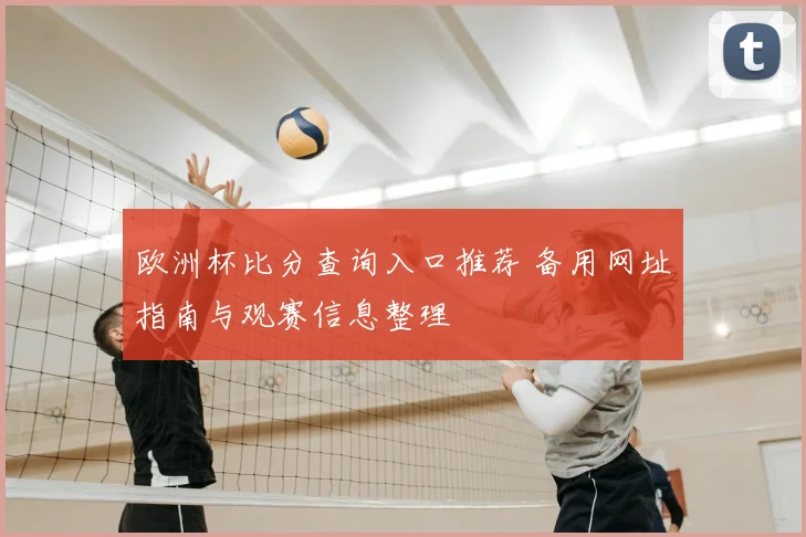 欧洲杯比分查询入口推荐 备用网址指南与观赛信息整理