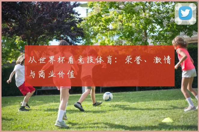 从世界杯看竞技体育:荣誉、激情与商业价值