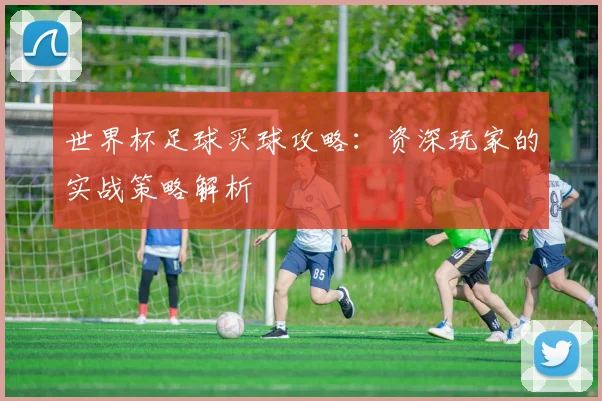 世界杯足球买球攻略:资深玩家的实战策略解析
