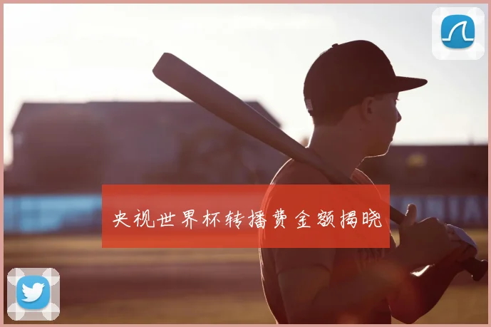 央视世界杯转播费金额揭晓
