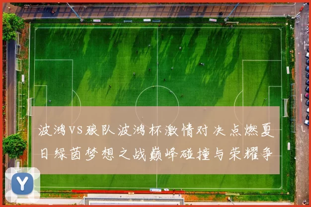 波鸿vs狼队波鸿杯激情对决点燃夏日绿茵梦想之战巅峰碰撞与荣耀争锋