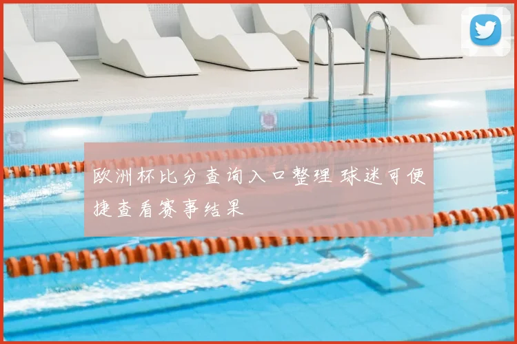 欧洲杯比分查询入口整理 球迷可便捷查看赛事结果