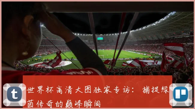 世界杯高清大图独家专访:捕捉绿茵传奇的巅峰瞬间